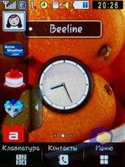 ��������� Samsung S3650_Corby