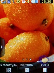 ��������� Samsung S3650_Corby