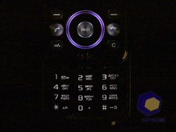 ���������� SonyEricsson W395