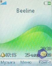 ��������� SonyEricsson W395