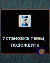 ��������� SonyEricsson W395