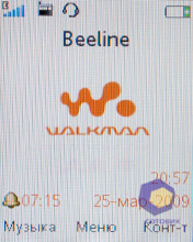 ��������� SonyEricsson W395