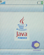 ��������� SonyEricsson W395