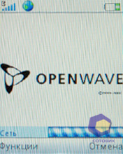 ��������� SonyEricsson W395