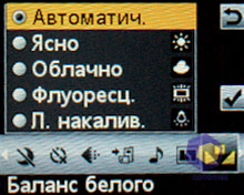 ��������� SonyEricsson W395