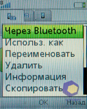 ��������� SonyEricsson W395