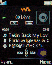 ��������� SonyEricsson W395