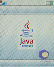 ��������� SonyEricsson W395