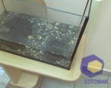 ���������� � ������ Fly DS400