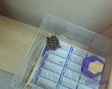 ���������� � ������ Fly DS400