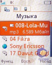 ��������� SonyEricsson W302