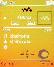 ��������� SonyEricsson W302