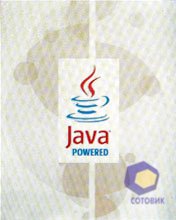 ��������� SonyEricsson W302