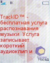 ��������� SonyEricsson W302