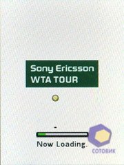 ��������� SonyEricsson Z770i