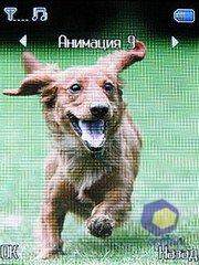 ��������� Fly LX800_Sapphire