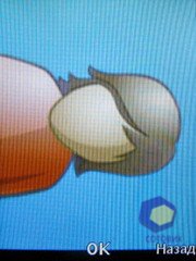 ��������� SonyEricsson Z750i