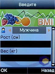 ��������� Fly E300