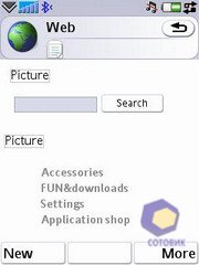 ��������� SonyEricsson P1i