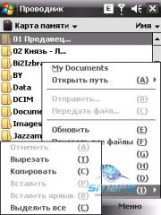 ��������� HTC TYTN_II
