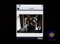 ���������� Fly B600