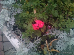 ���������. ������ � ���� ����� Acer Liquid Metal: �������� Android