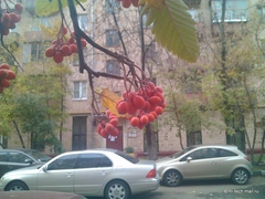 ���������. ������ � ���� ����� Acer Liquid Metal: �������� Android