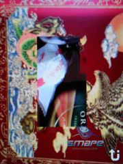 ��������� Samsung G600_rev