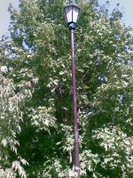 ���������� � ������ Nokia 7500_Prism