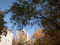 ����� Nokia C7. ������ ���������� � Nokia ��� �� ����