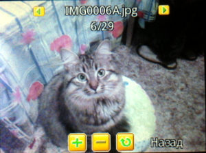 ��������� Fly Q200