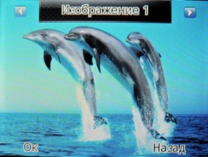 ��������� Fly Q200