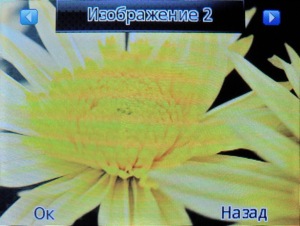 ��������� Fly Q200