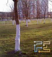 DX900-photo-03s