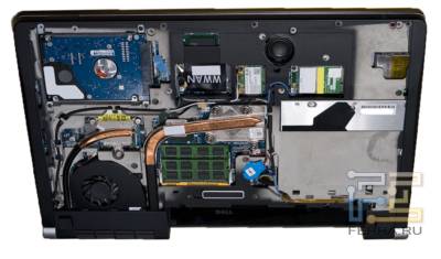 p_innards