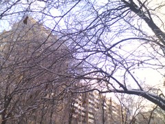 ����� Philips Xenium X513: ����� ������� �������