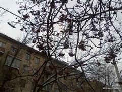 ����� Nokia C5-03: ����� ��������� �������� Nokia