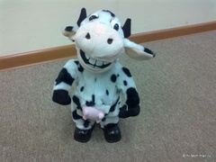 ����� Nokia C5-03: ����� ��������� �������� Nokia