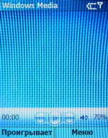 ���� Samsung SGH-i300