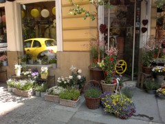  Nokia X7-00:   Nokia