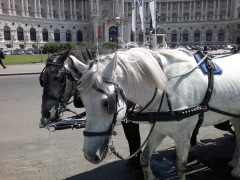  Nokia X7-00:   Nokia