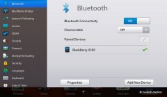  Blackberry PlayBook:   