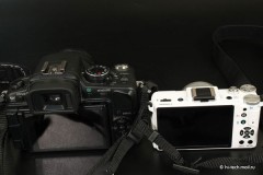  Pentax Q:   