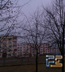  ,    HTC Salsa