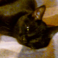 ���� ��������� Qtek s200