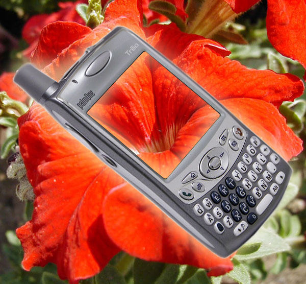   palmOne Treo 650