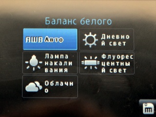Samsung GT-C3312