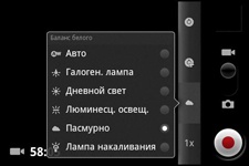  Fly IQ245 Wizard
