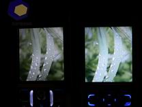 ���� Nokia E60