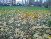 Sony Ericsson K800i ������ Nokia N93